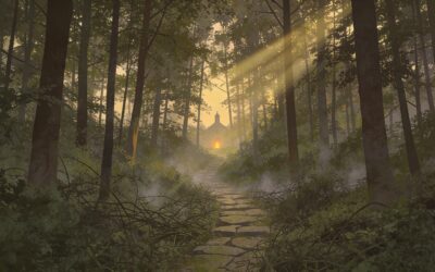 Lost in the Woods